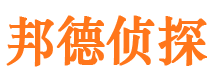 镇平市场调查